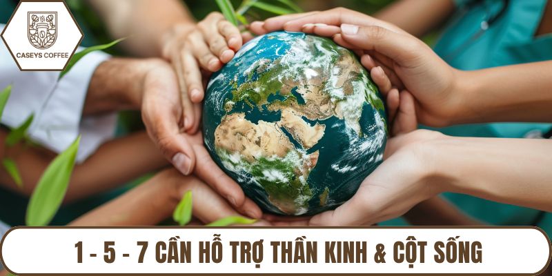 1 – 5 – 7 cần hỗ trợ thần kinh & cột sống