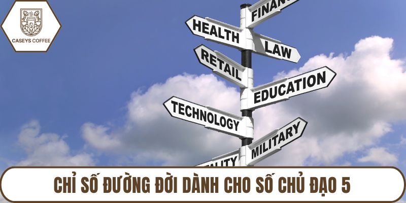 Chỉ số đường đời dành cho số chủ đạo 5