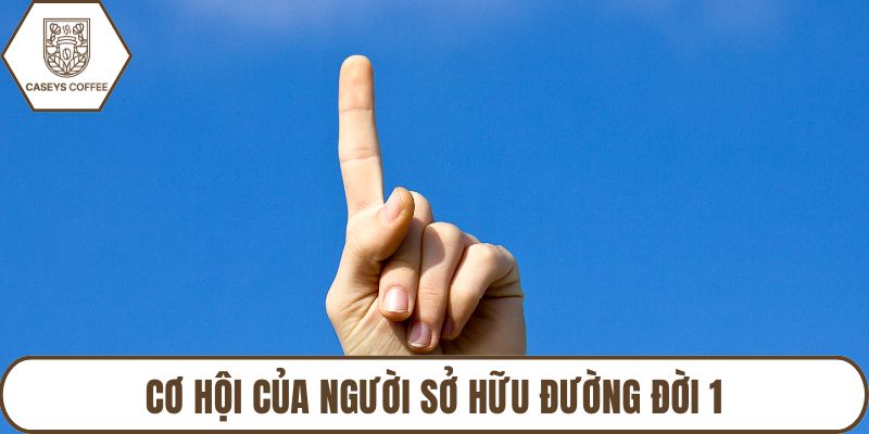 Cơ hội của người sở hữu đường đời 1