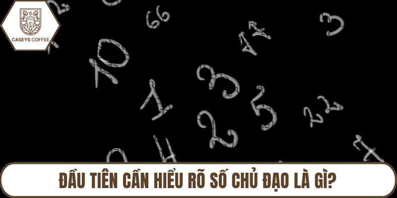 Đầu tiên cần hiểu rõ số chủ đạo là gì?