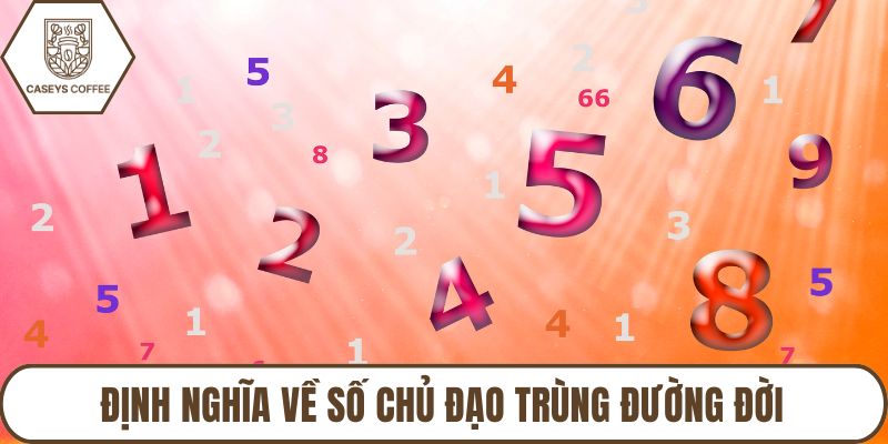 Định nghĩa về số chủ đạo trùng đường đời