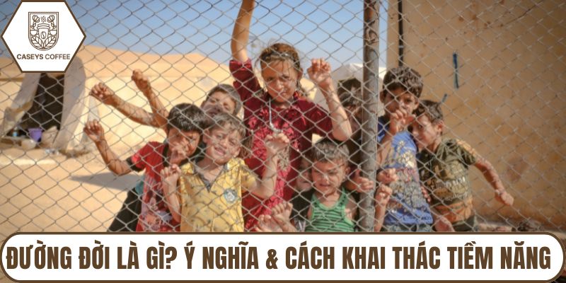 Đường Đời Là Gì? Ý Nghĩa & Cách Khai Thác Tiềm Năng Cá Nhân