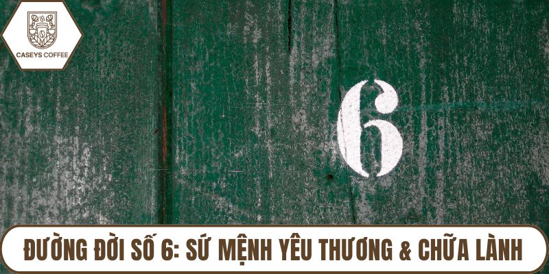 Đường Đời Số 6: Sứ Mệnh Yêu Thương & Chữa Lành