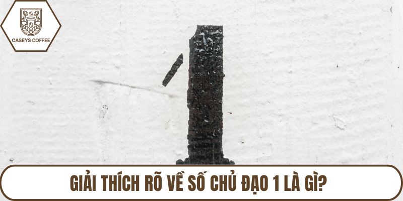 Giải thích rõ về số chủ đạo 1 là gì?