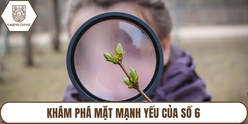 Khám phá mặt mạnh yếu của số 6