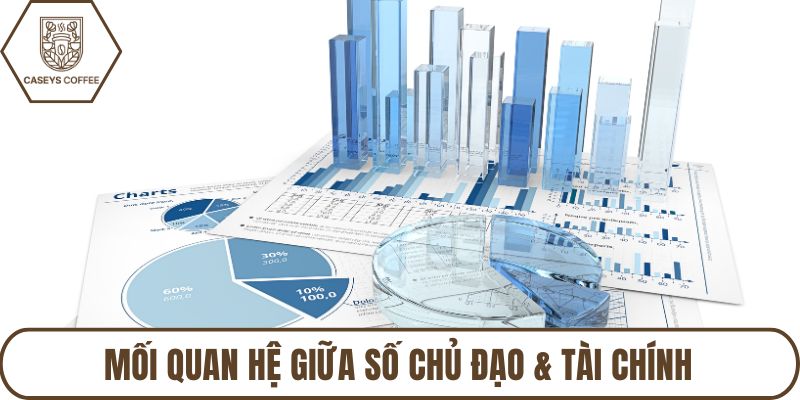 Mối quan hệ giữa số chủ đạo & tài chính