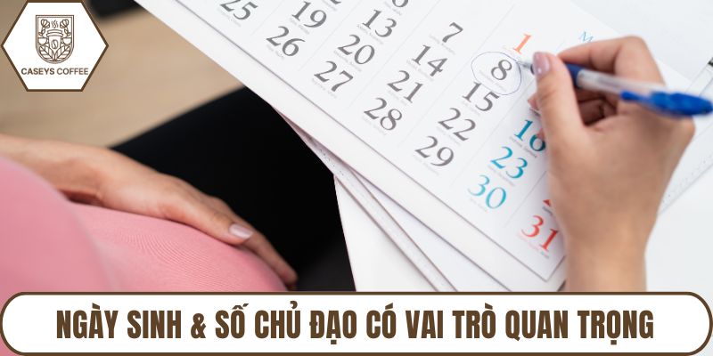 Ngày sinh & số chủ đạo có vai trò quan trọng