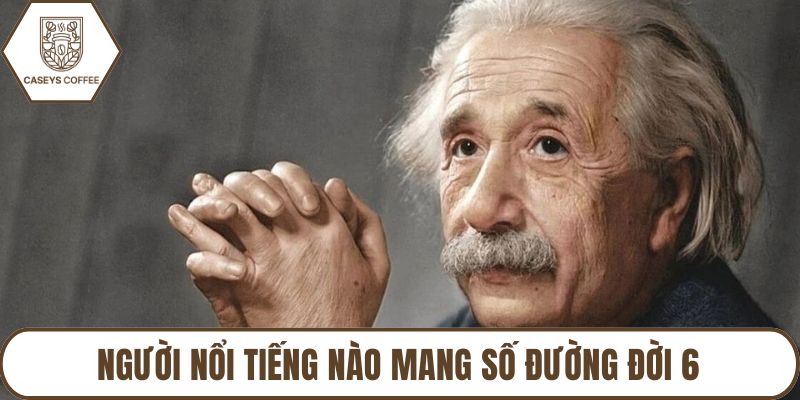 Người nổi tiếng nào mang số đường đời 6