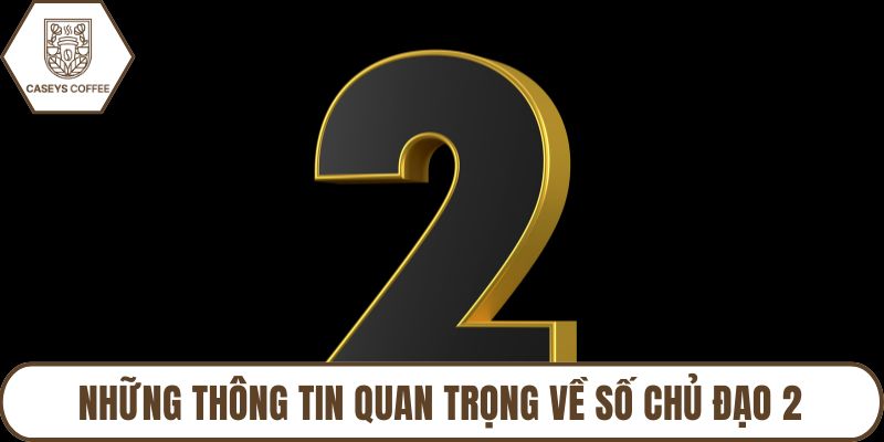 Những thông tin quan trọng về số chủ đạo 2