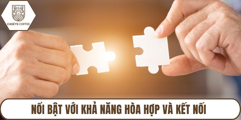 Nổi bật với khả năng hòa hợp và kết nối