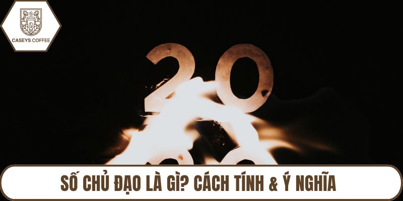 Số Chủ Đạo Là Gì? Cách Tính & Ý Nghĩa Trong Thần Số Học