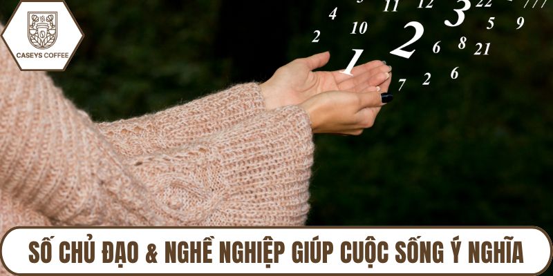 Số chủ đạo & nghề nghiệp giúp cuộc sống ý nghĩa