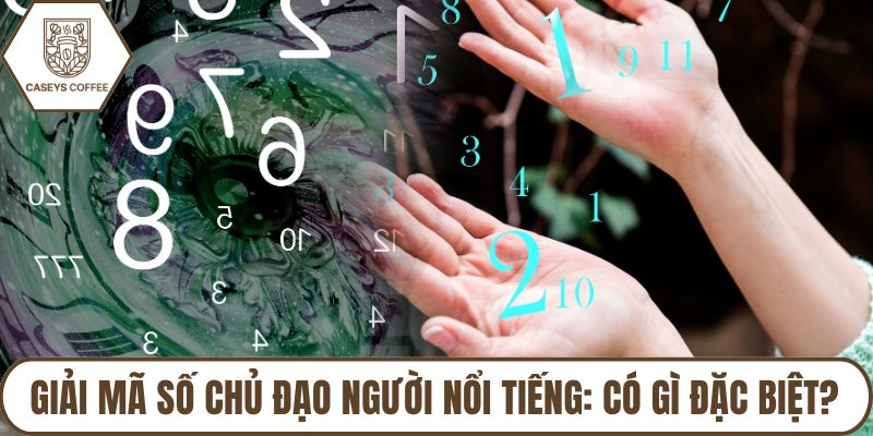 Giải Mã Số Chủ Đạo Người Nổi Tiếng: Có Gì Đặc Biệt?