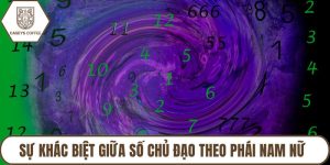 Sự Khác Biệt Giữa Số Chủ Đạo Theo Phái Nam Nữ Như Thế Nào?