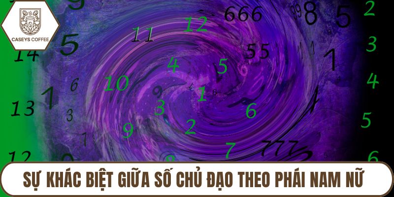 Sự Khác Biệt Giữa Số Chủ Đạo Theo Phái Nam Nữ Như Thế Nào?