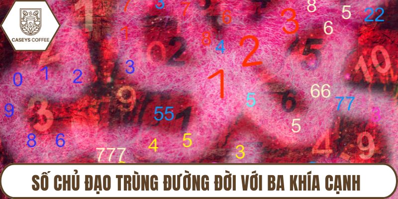 Số chủ đạo trùng đường đời với ba khía cạnh
