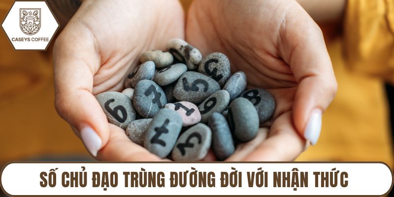 Số chủ đạo trùng đường đời với nhận thức