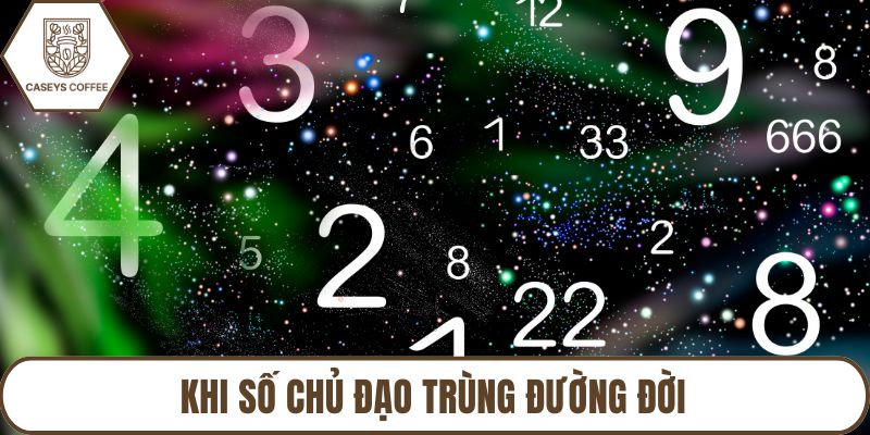 Khi Số Chủ Đạo Trùng Đường Đời: Dấu Hiệu Của Một Sứ Mệnh Lớn