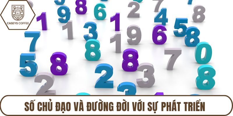 Số chủ đạo và đường đời với sự phát triển