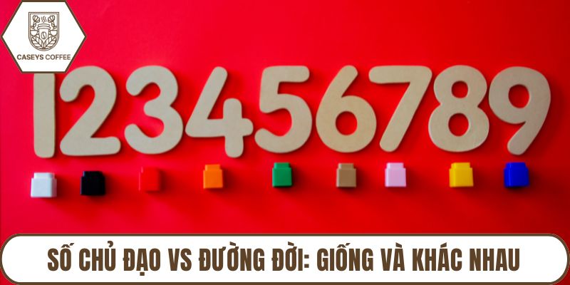 Số Chủ Đạo Vs Đường Đời: Giống Và Khác Nhau Như Thế Nào?