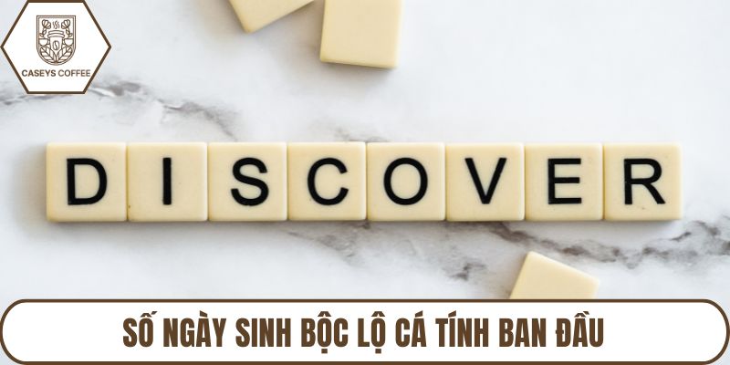 Số ngày sinh bộc lộ cá tính ban đầu