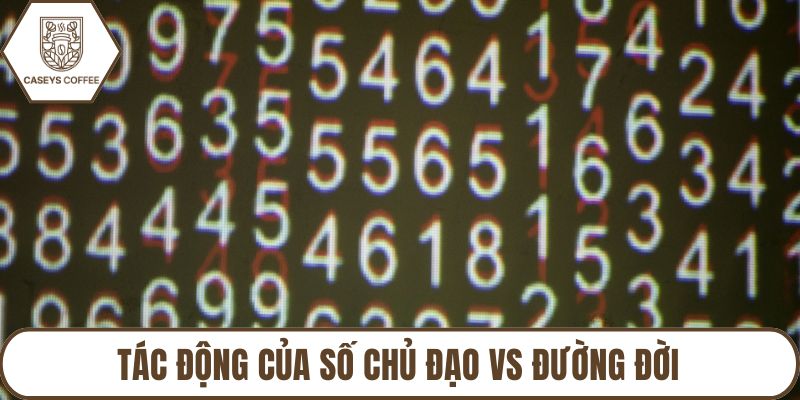 Tác động của số chủ đạo vs đường đời