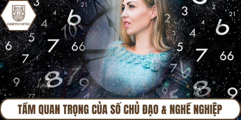Tầm quan trọng của số chủ đạo & nghề nghiệp