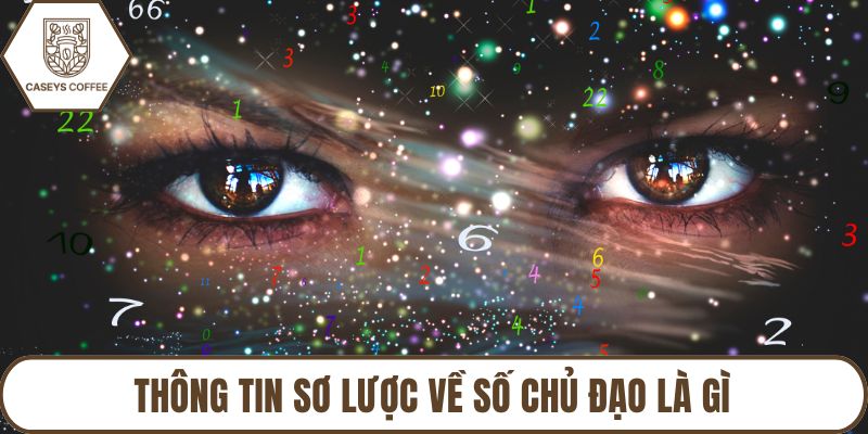 Thông tin sơ lược về số chủ đạo là gì