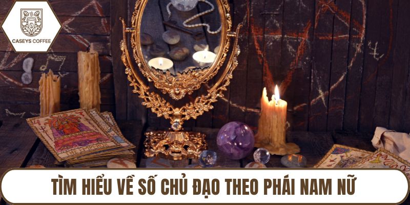 Tìm hiểu về số chủ đạo theo phái nam nữ