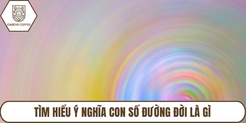 Tìm hiểu ý nghĩa con số đường đời là gì