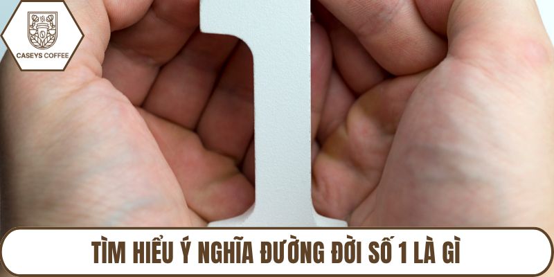 Tìm hiểu ý nghĩa đường đời số 1 là gì