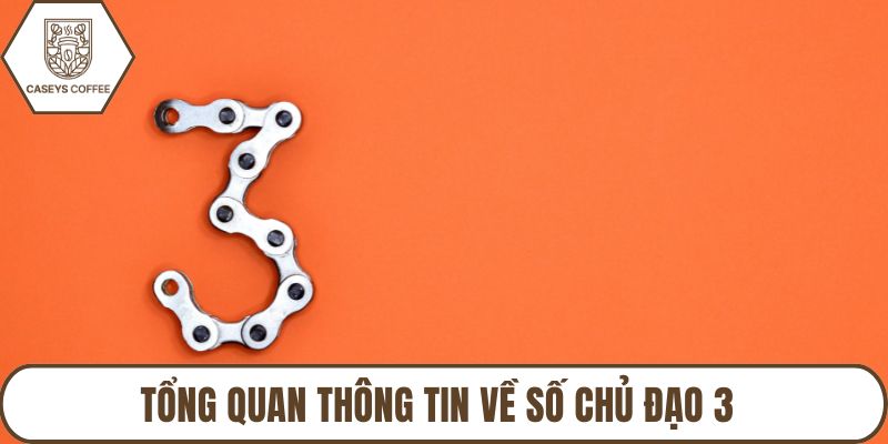 Tổng quan thông tin về số chủ đạo 3